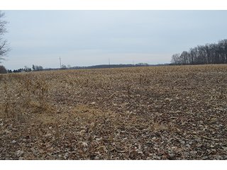 Property photo 33 - LAND AUCTION, 77 Acres offered in 3 Tracts